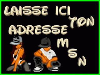 laisse ton adress msn ici